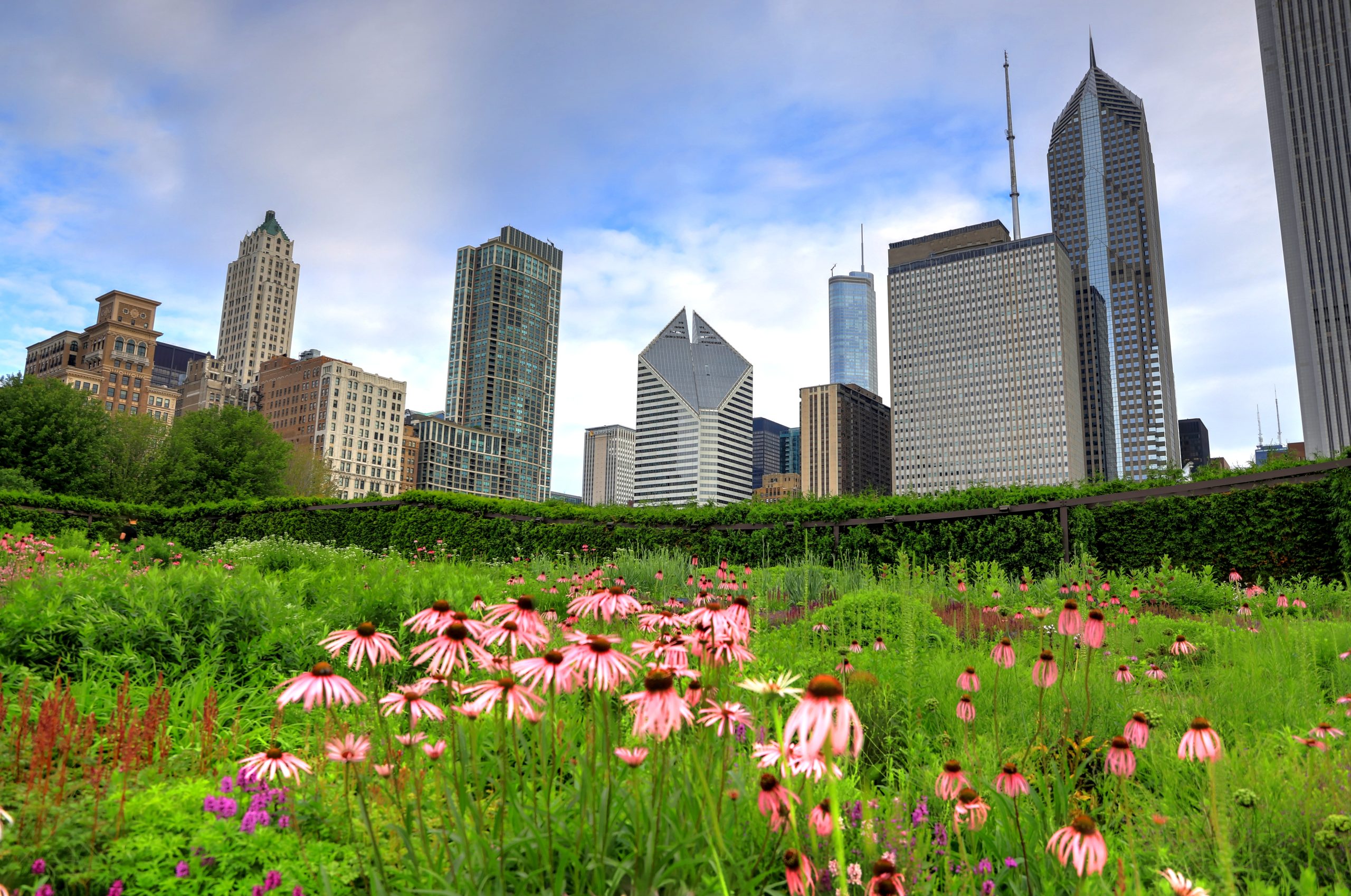 Soaking Up Summer in Downtown Chicago